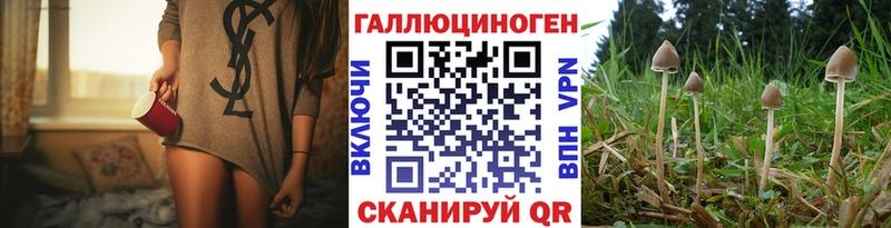 гидра как войти Елец Псилоцибиновые грибы мицелий купить наркотик