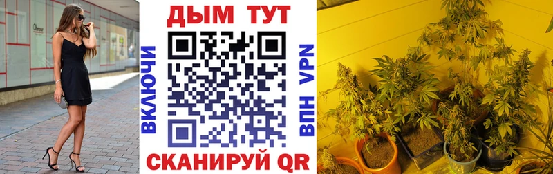 Бошки Шишки VHQ  Елец 